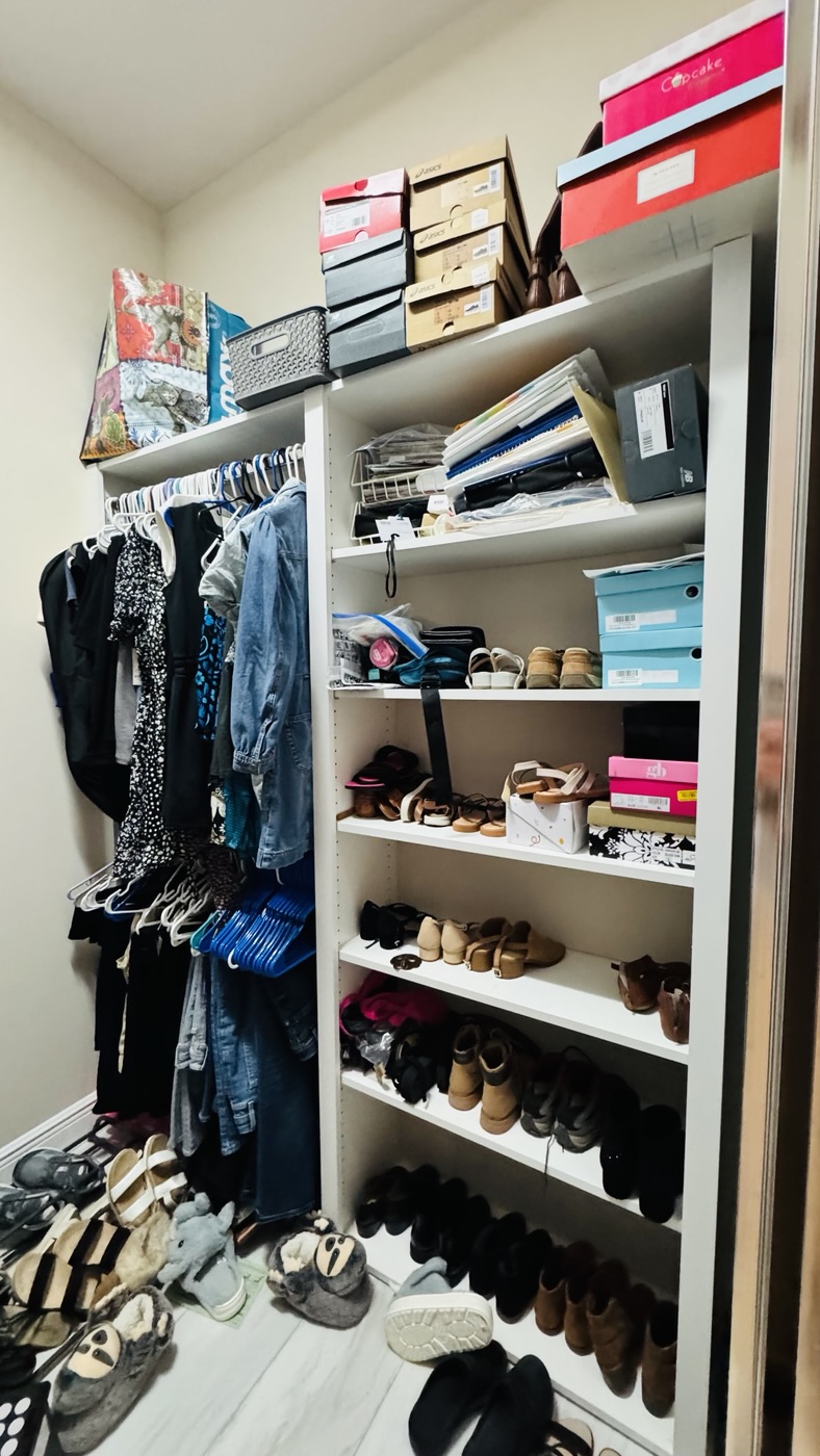 Wall closet, shoes and hanging, before